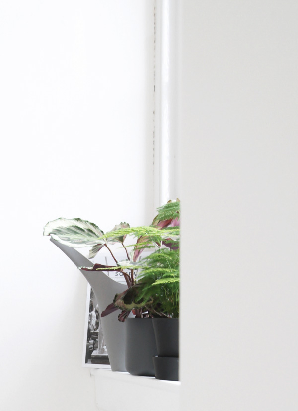 monochrome workspace green plants on window sill 
