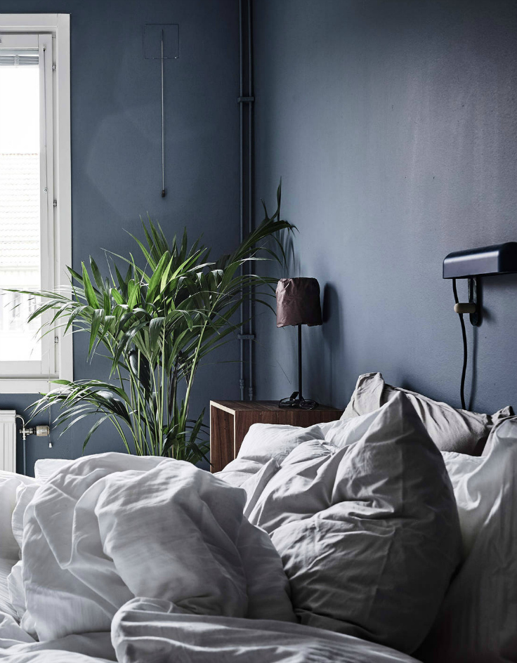dark walls and oversized green plants in the bedroom