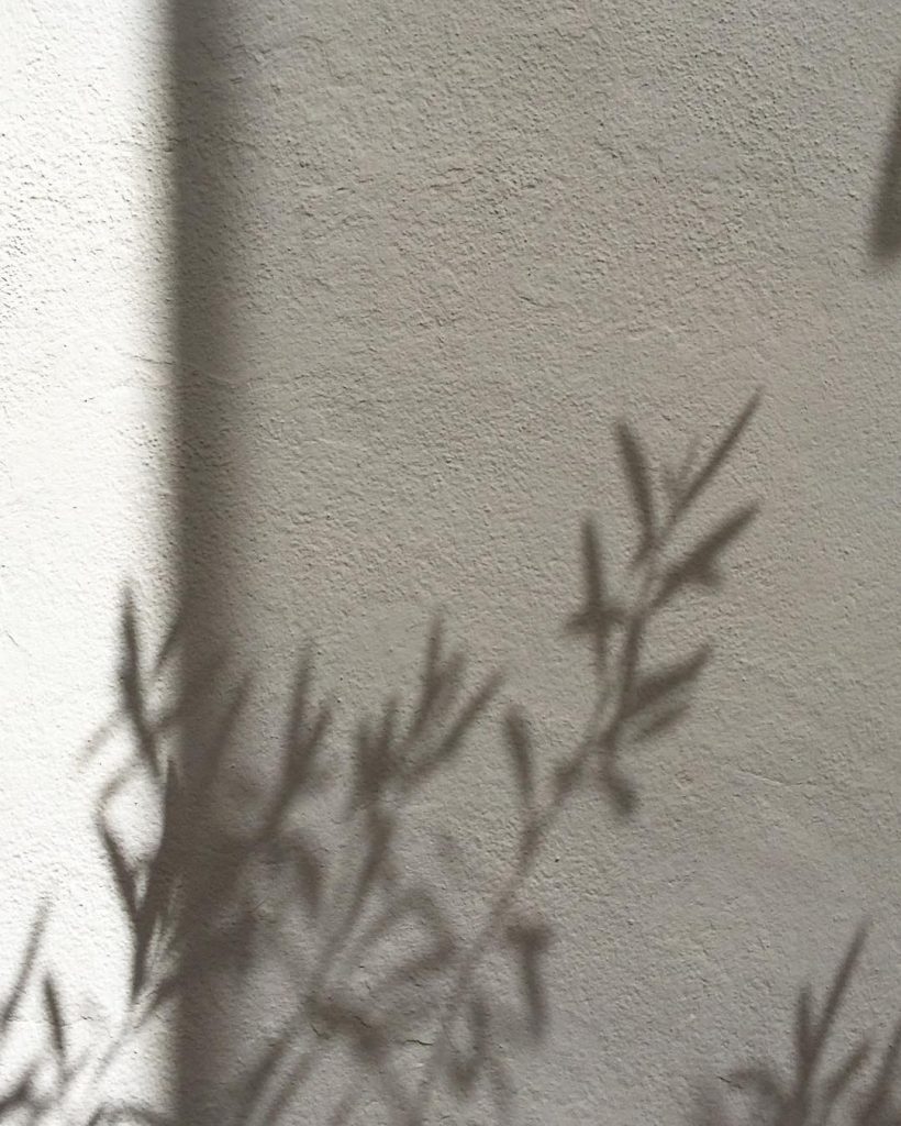shadow by Hege Morris