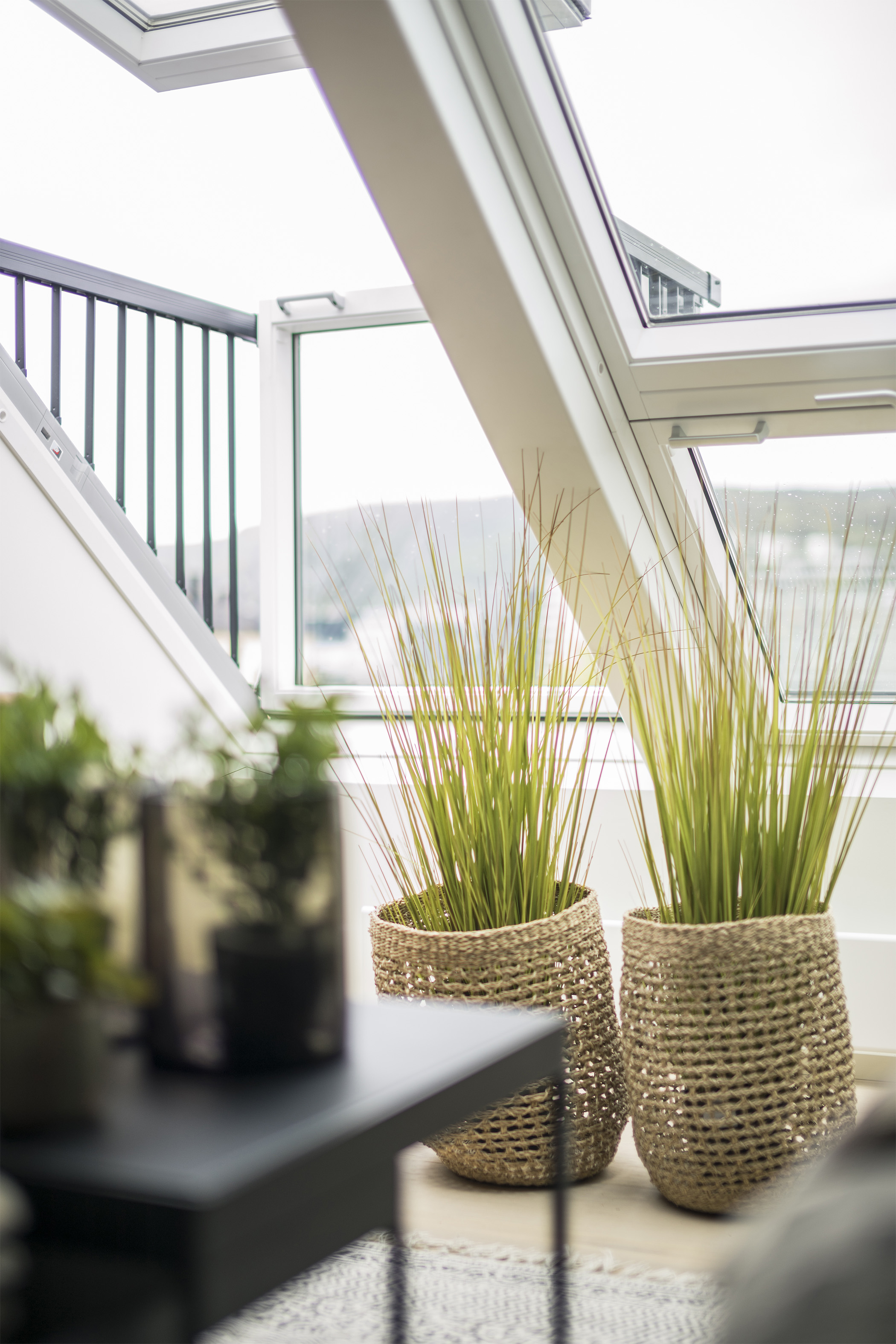 AD VELUX - Five Top Care Tips For Your Houseplants