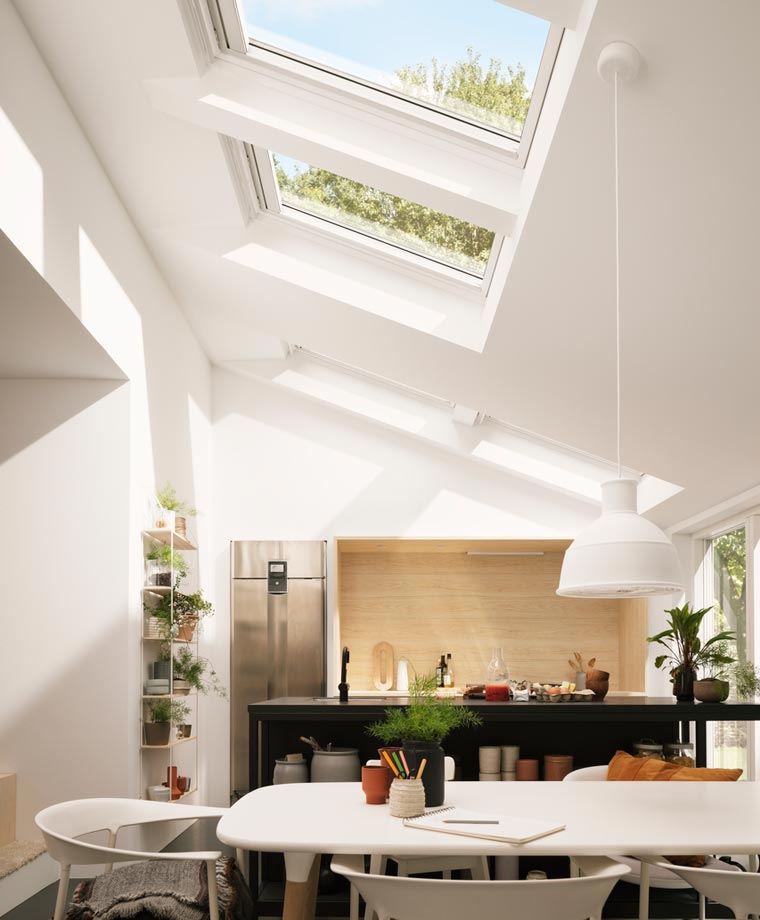AD VELUX – FIVE TOP CARE TIPS FOR YOUR HOUSEPLANTS